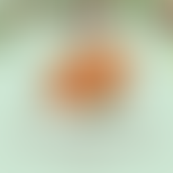 Festive Bird & Christmas Farm Shop Pre-Order Forms Available now!