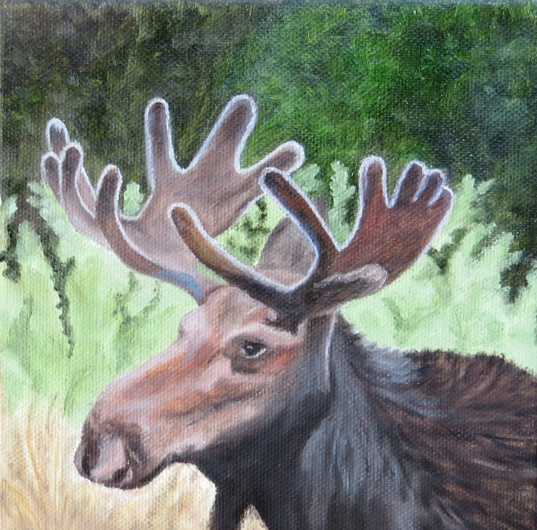 "In Velvet"