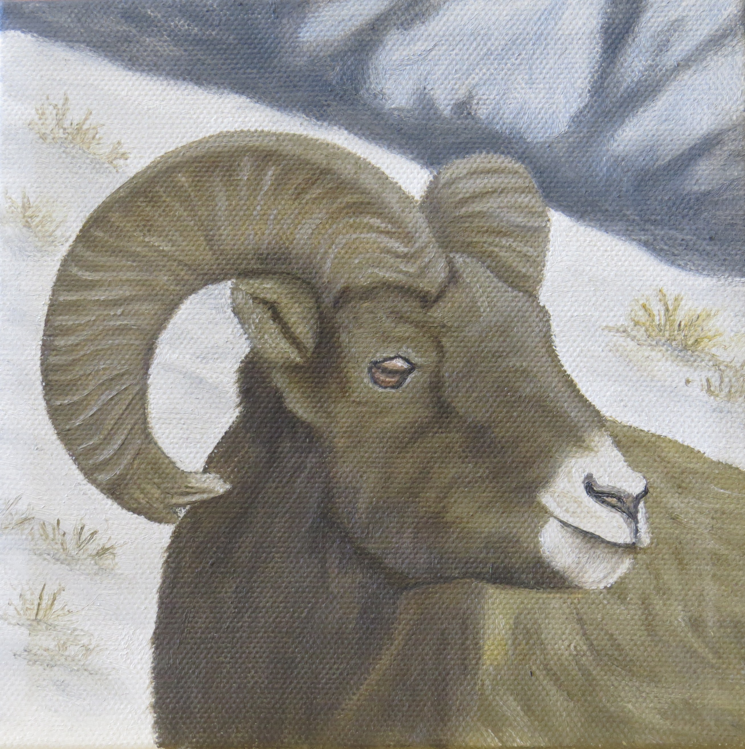 "Watchful Eye"