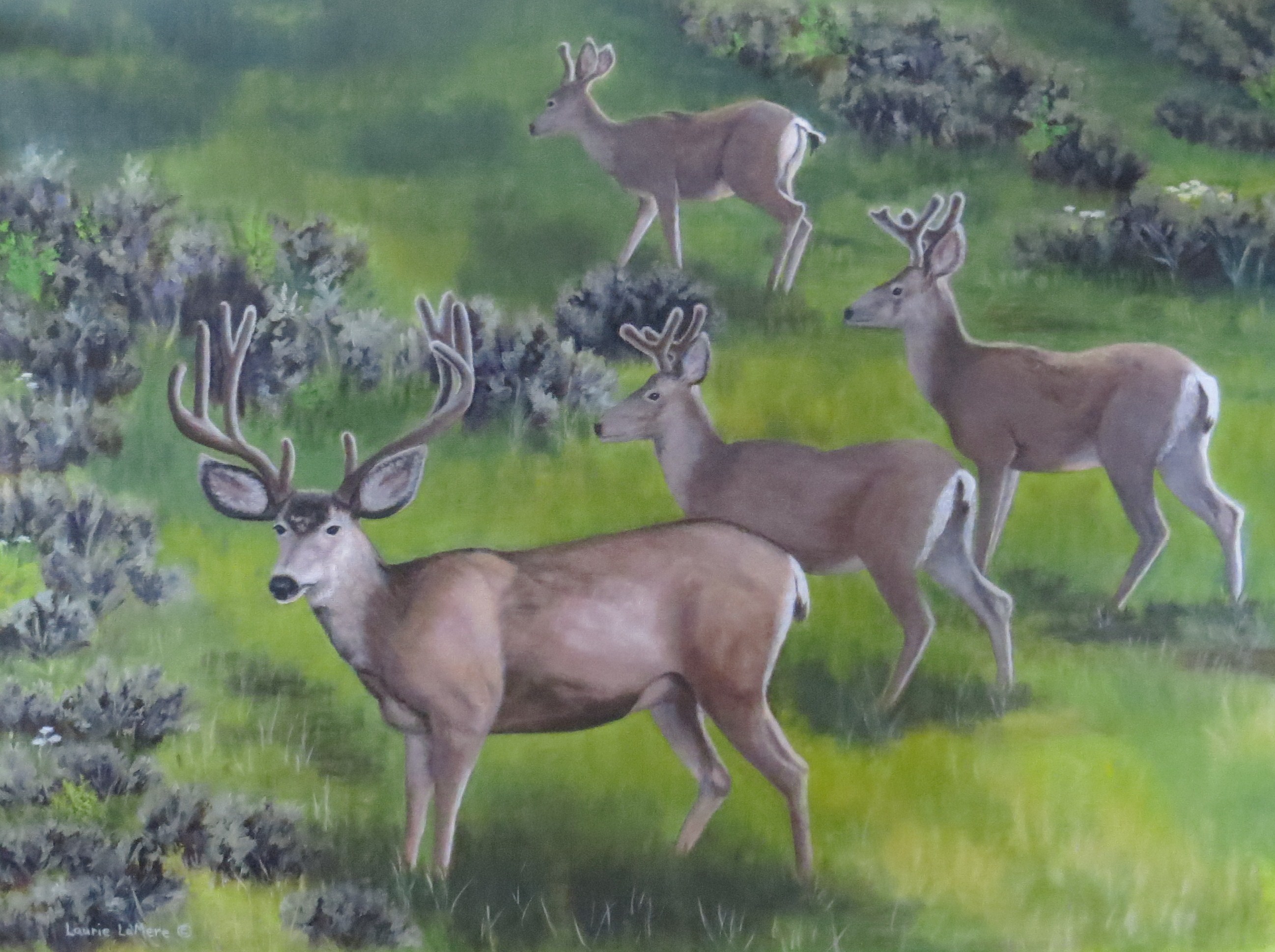 "Spring Renewal"