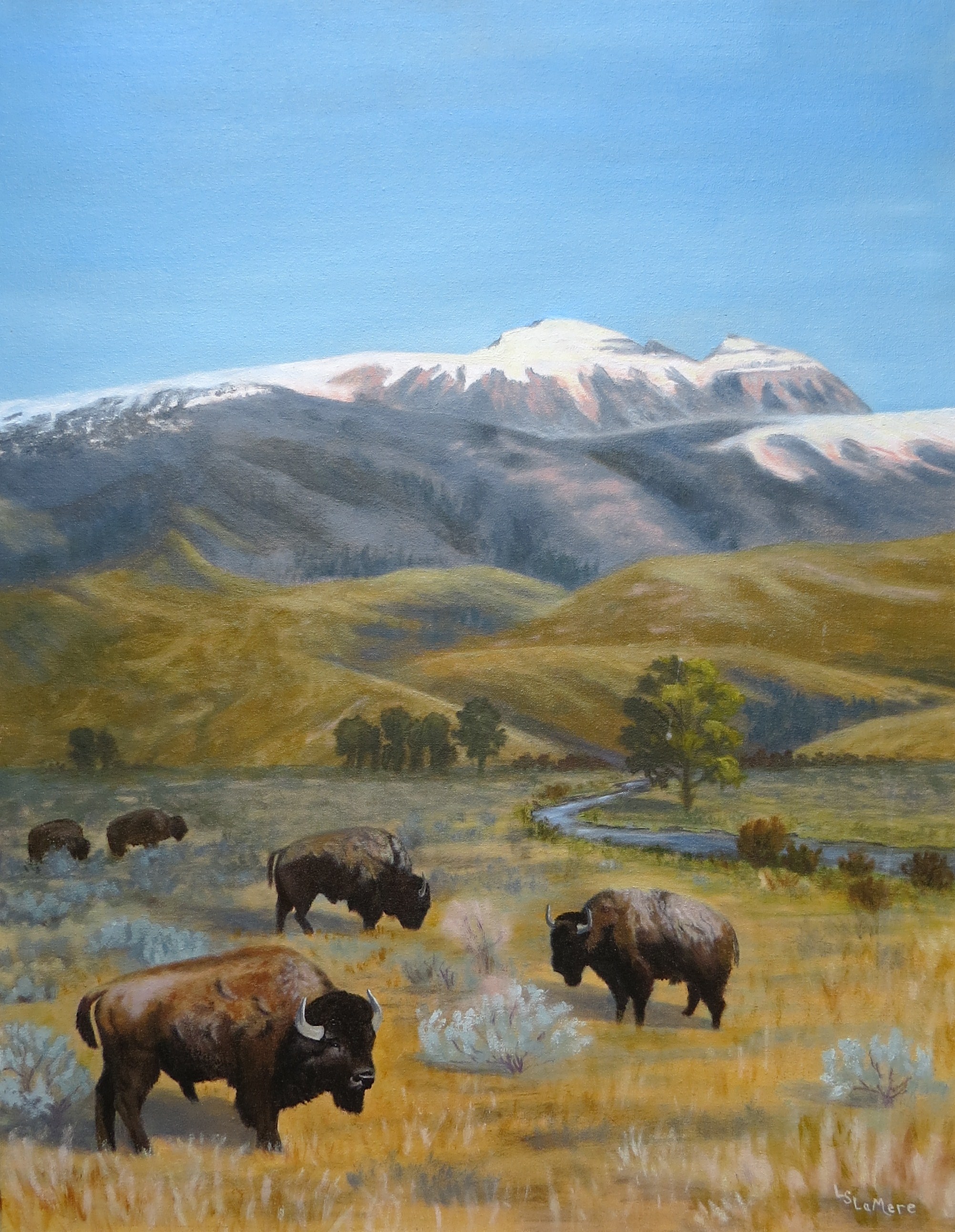 "Where The Buffalo Roam"