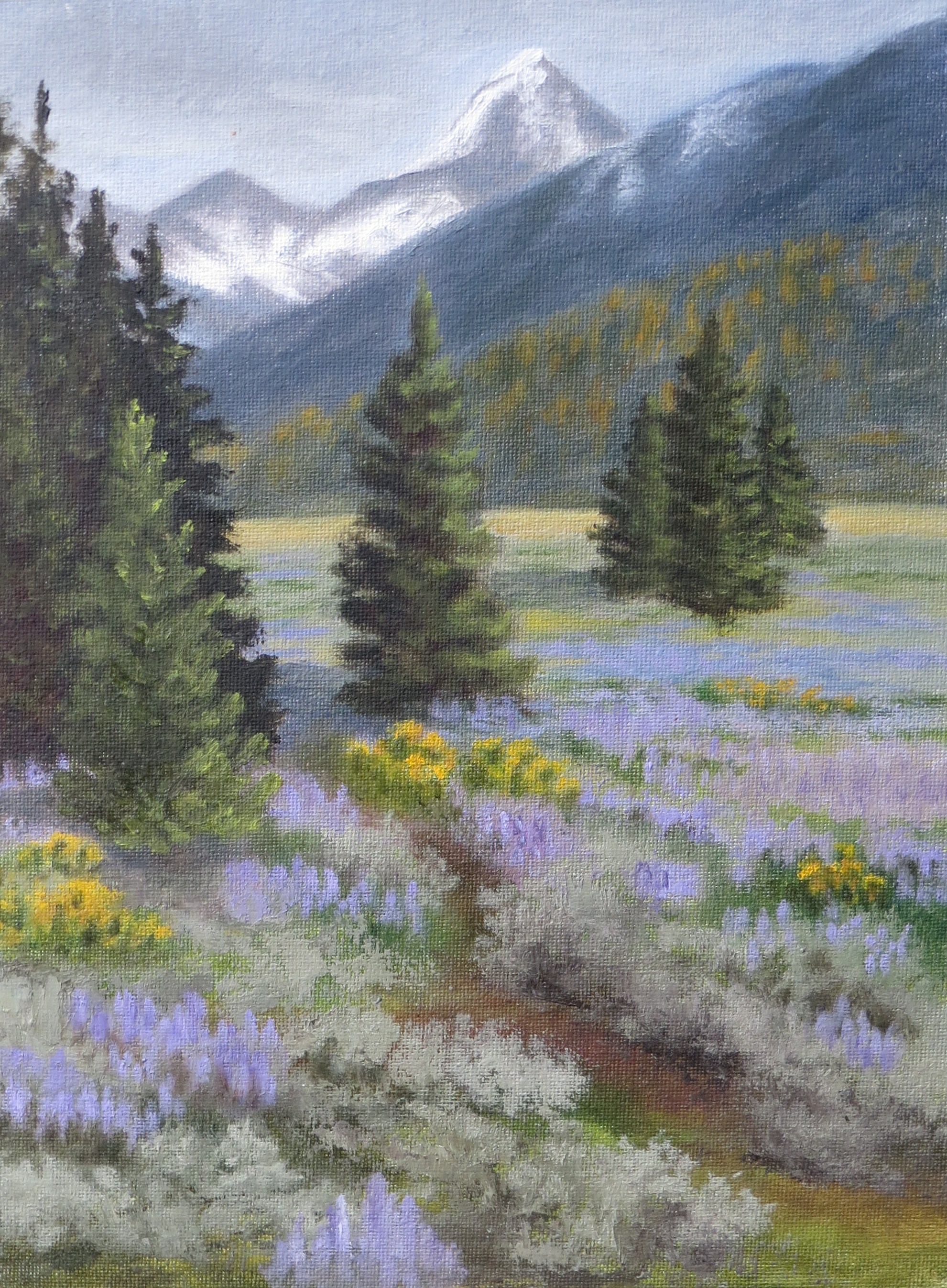 "Lupin Meadow"