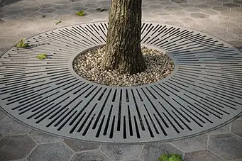 tree grates.webp