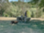 att.PlGU9pHqI6jtvgI7rDM6AqXIc1Thmhd2xiu4r0cgRhA.jpg