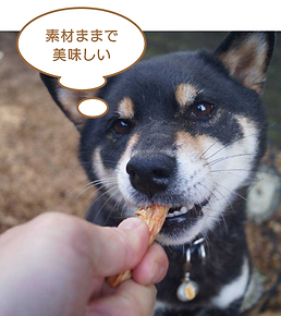 国産無添加 | F&Bell株式会社 | ヘルズキッチン