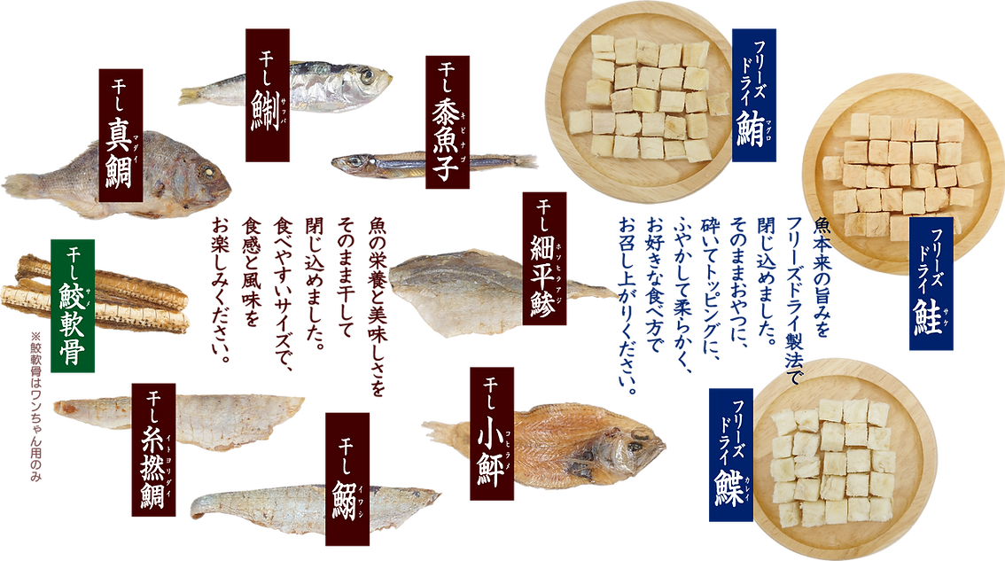 真鯛、鮫軟骨、糸より、イワシ、小鮃、鰈、鮭、鮪、キビナゴ、サッパ