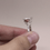 Thumbnail: Half Hollow Granule Ring