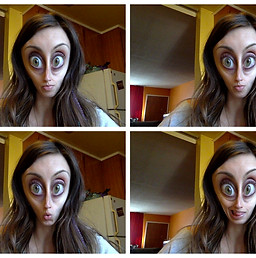 Life is short, be silly.