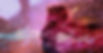 IMAGE 1__Untamed Life_Keith Allen Kay.jp
