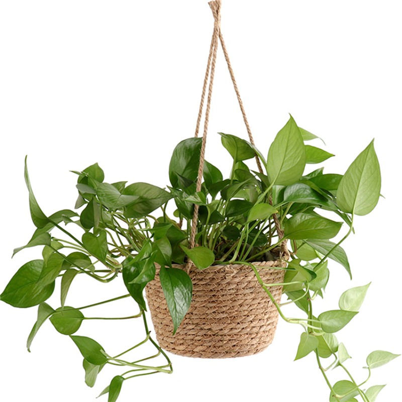 Miniatura: Suporte Suspenso para Plantas em Macramê – Decoração Boho para Vasos