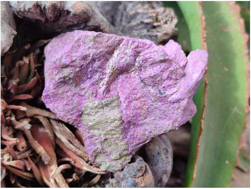 Natural Stichtite with Serpentine Specimens