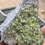Thumbnail: Peridot Raw
