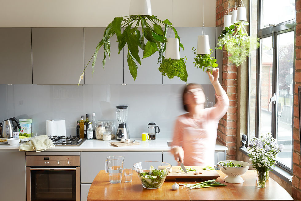 Sky Planter - Boskke