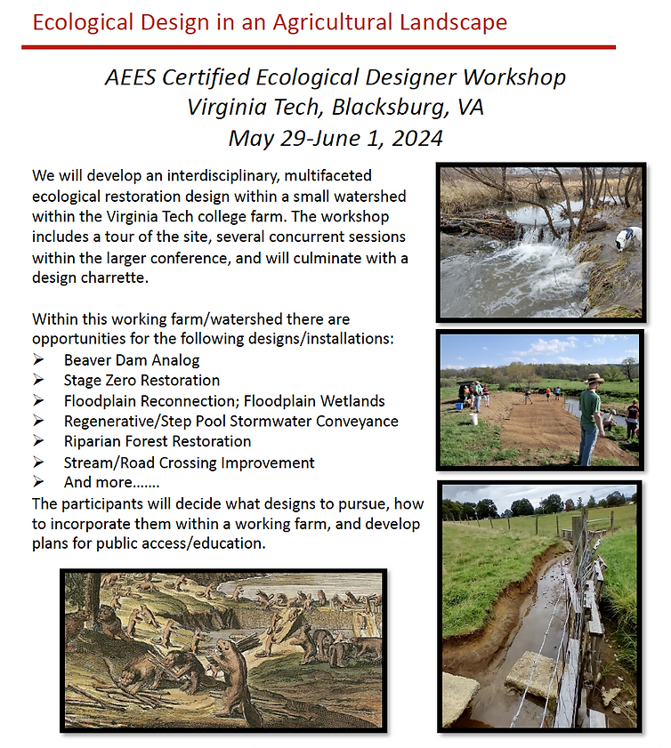 2024 Annual Meeting Continuing Education Aees 2024 Annual Meeting Continuing Education Aees