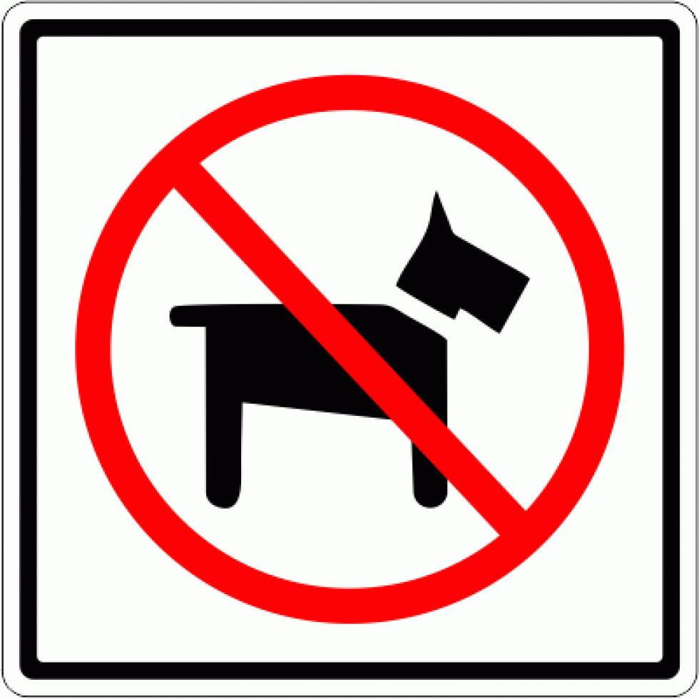 chien interdit.gif