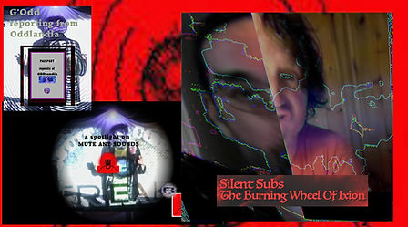 sub box for site.jpeg