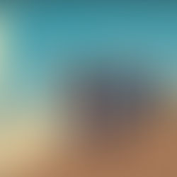 POURQUOI LE VELO ? UNE PROJECTION ET UN DEBAT AU CINEMA DE CHARTRES