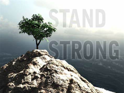 Daily Scripture 8/11/24