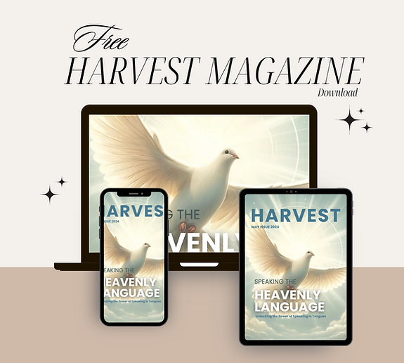 magazine advert.png