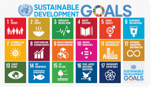 UN SDG Digital GameChangers