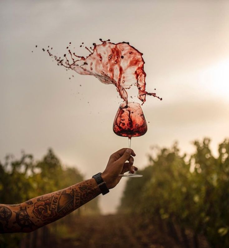 Storytelling für Weinmarken