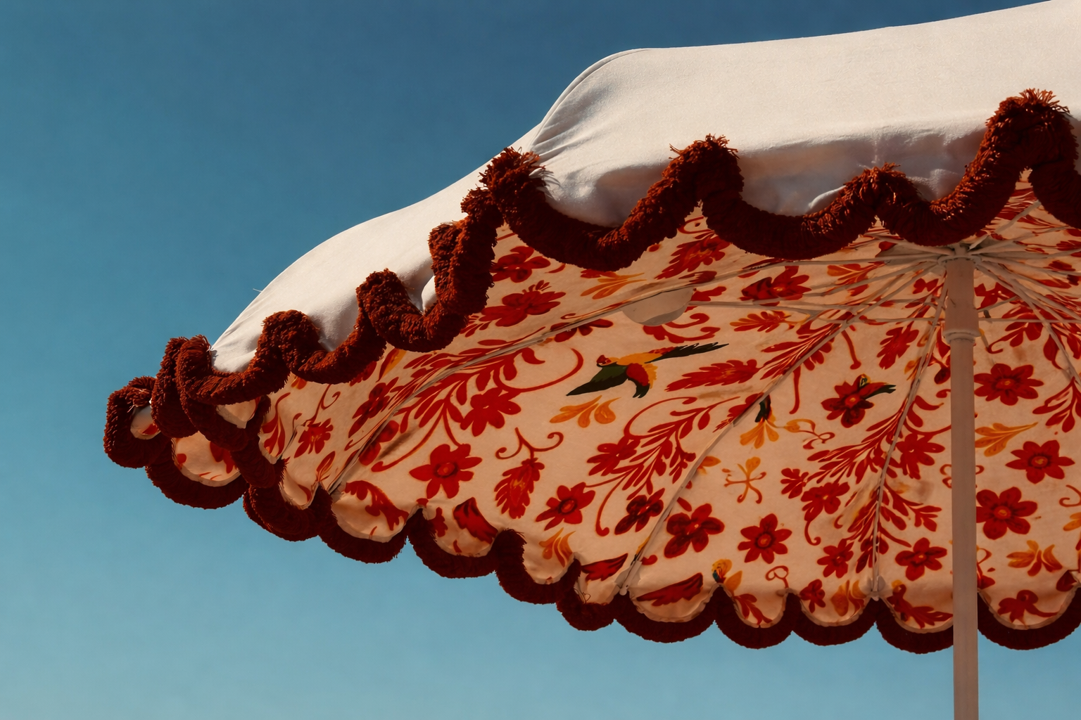 ChatGPT Image 18 Απρ 2026, 03_04_54 μ.μ..png