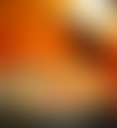 How To Cook the Perfect Pizza in Your Wood-Fired Oven