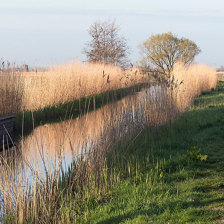 _DSC1902uitsnVK (Groot).jpg