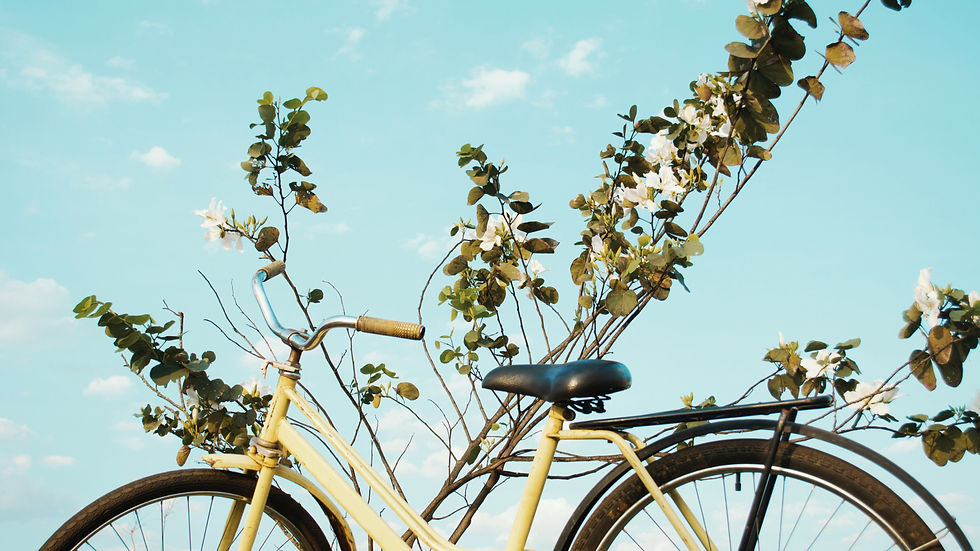 A yellow bike