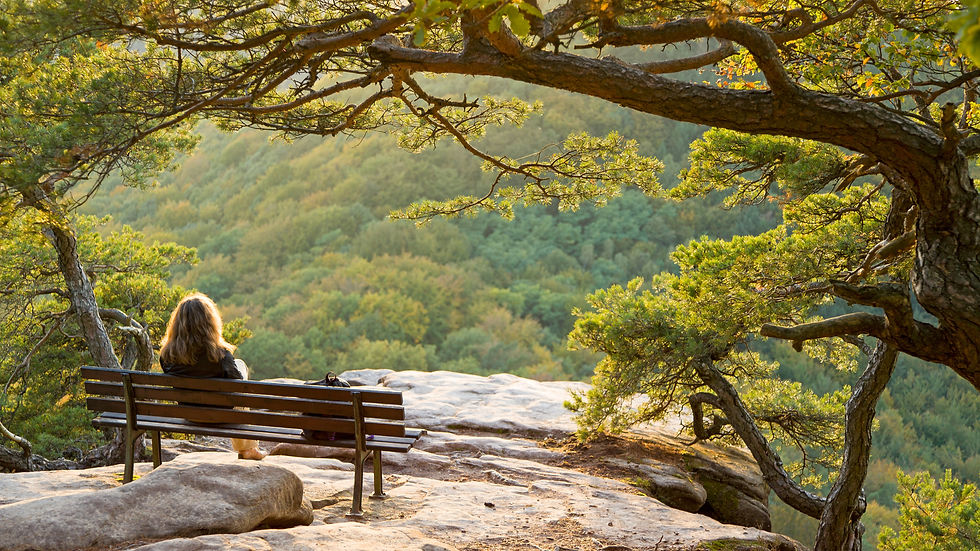 A woman sitting on a bench in nature, enjoying the view, the piece, the quiet