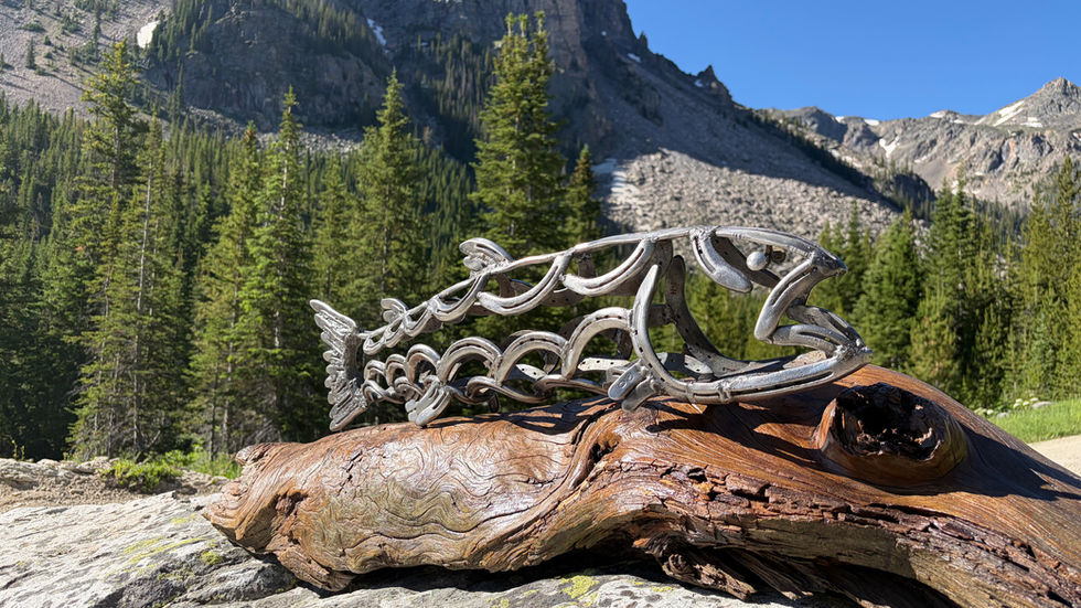 Horseshoe Art
