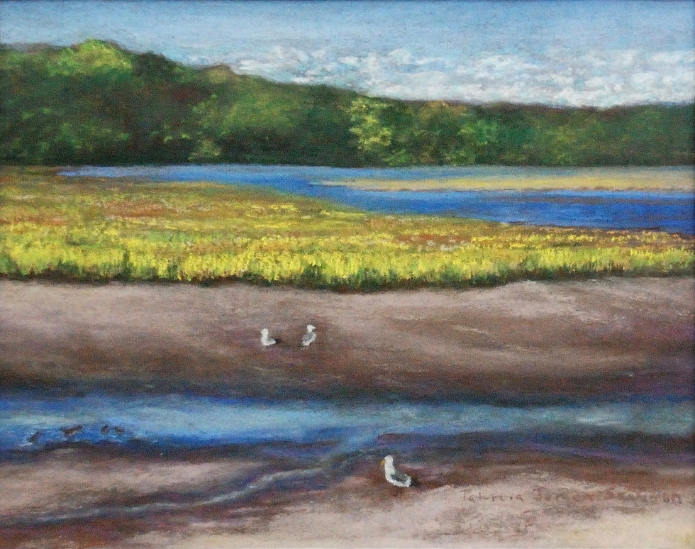 Birds in Marsh