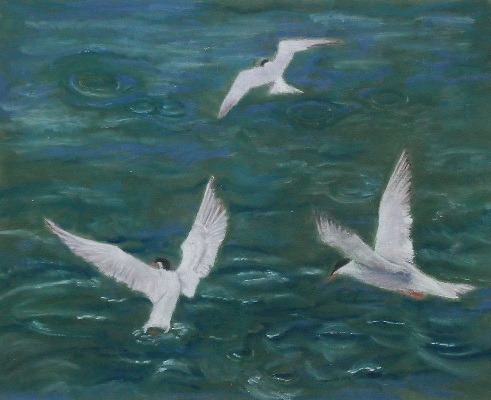 Three Terns