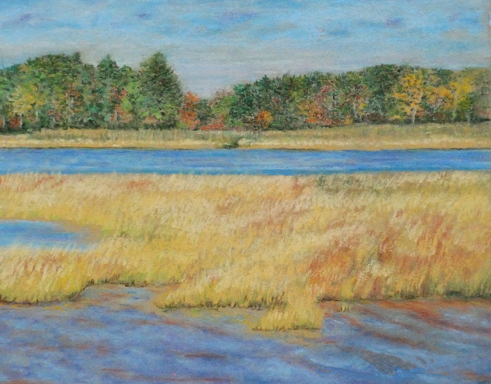 Marsh in Transition