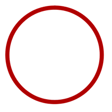 20200728_132928-300x300.png