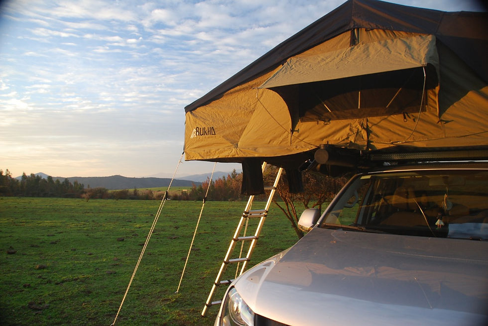 Miniatura: ARRIENDO CARPA DIA 