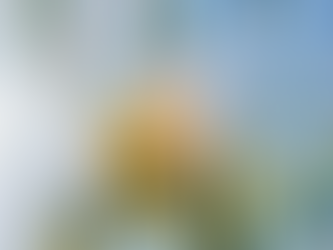 Ultra-lateral Learning