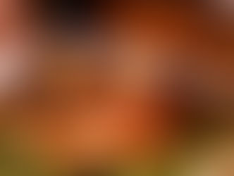 Adelántate a la Navidad