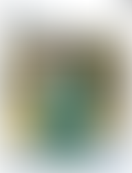 Person in grünem Outfit auf Social-Media-Beitrag über Ryanair, Illustration für Blog über Markenkommunikation und Meme-Sprache der Werbeagentur Easy Ending.