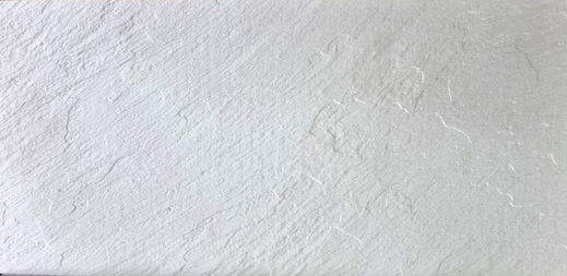 Panflex ZR  43- Zambrios.jpeg
