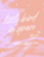 lbis.png