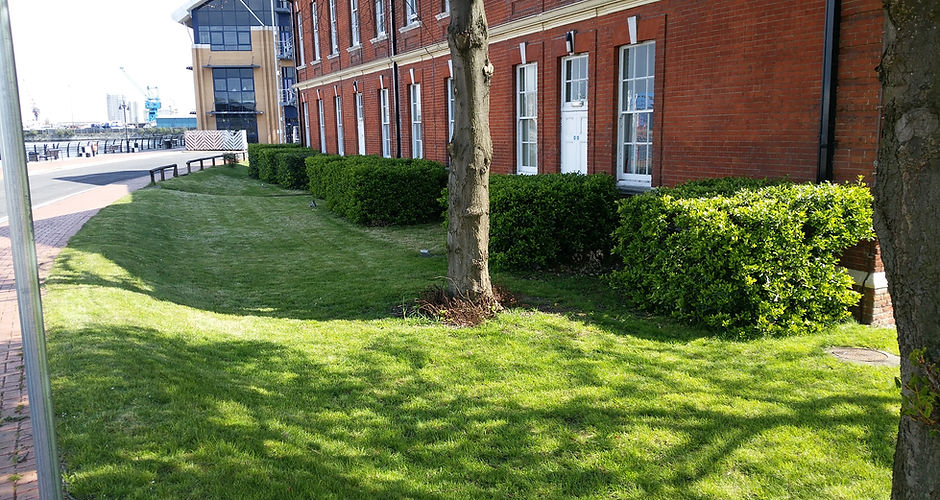 20160427_150052.jpg