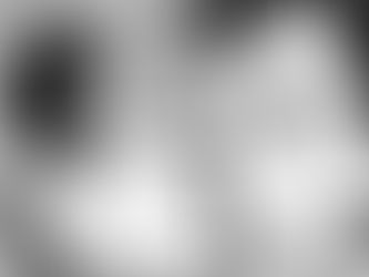 Hessy Levinsons Taft : une manifestation silencieuse 