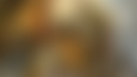 Midgard Heroes Handbook -- Game Review