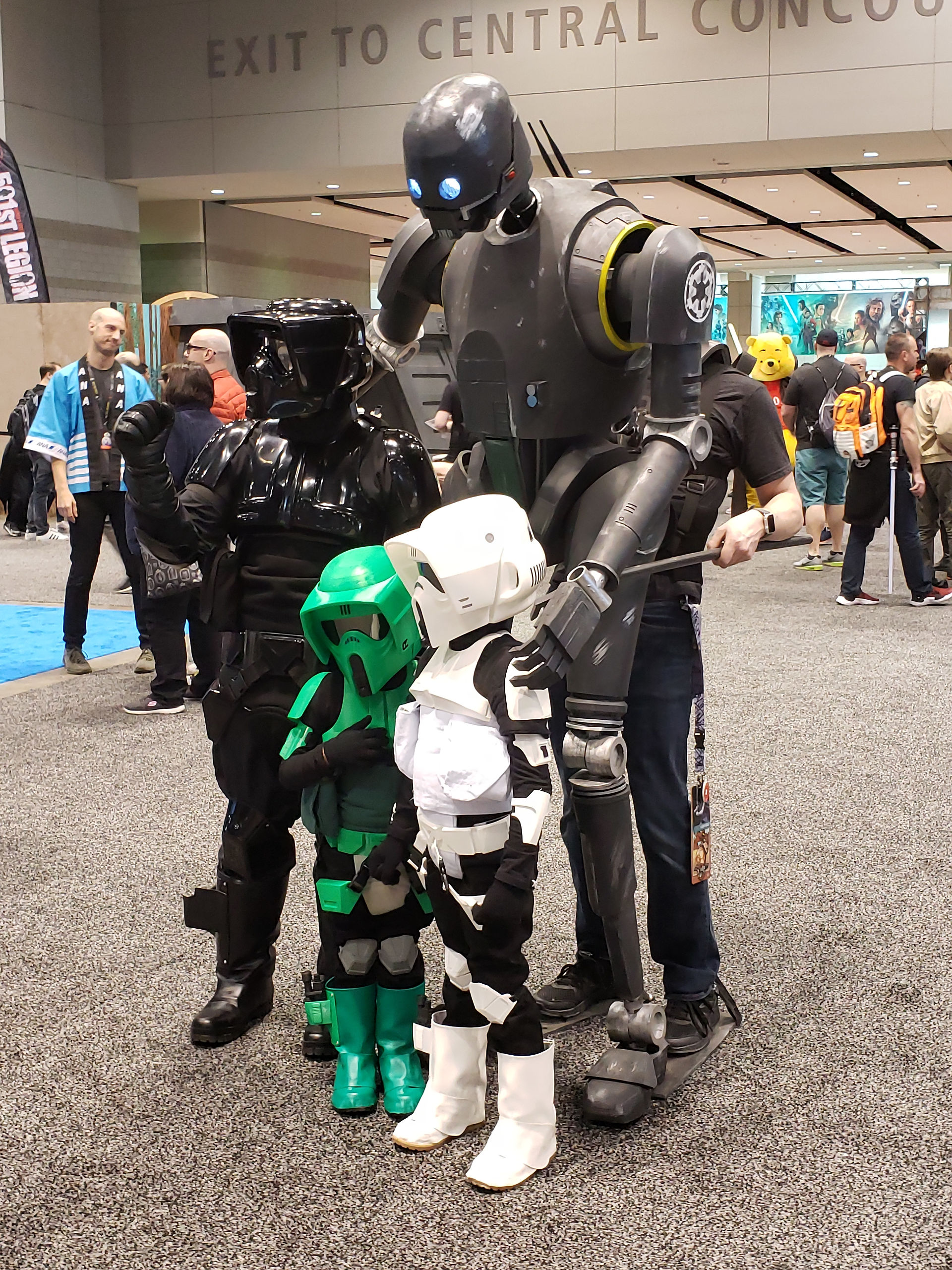 rogue_1_bot