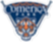 Comerica Park Logo