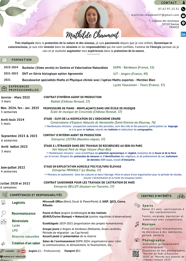 Copie de CV NICKEL à prendre.pdf.png