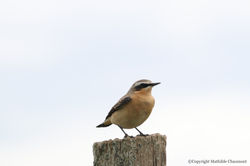 20240415102344_6P4A0387_edited