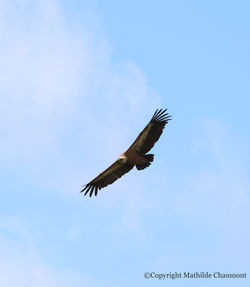 6P4A1426_edited
