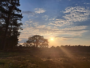 20230512_201227.jpg